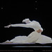 Denise Harrell Photo 11