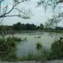 Brandee Robinson Photo 11