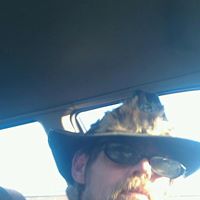 Wayne Archer Photo 33