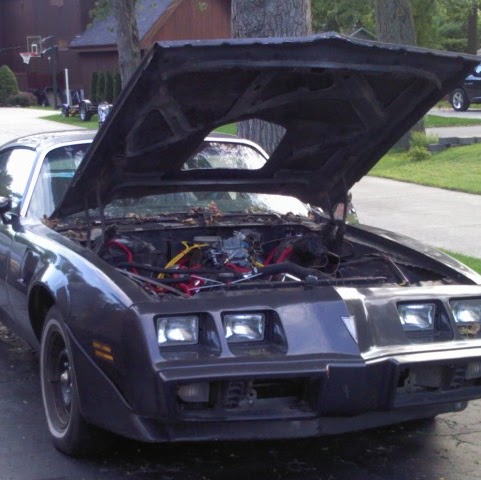 Steven Schulte Photo 39