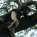 Stefan Lucas Photo 12