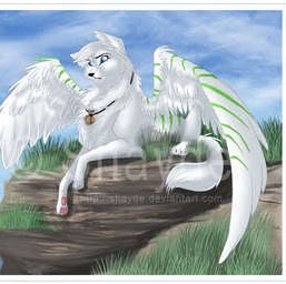 Alice Button Photo 10