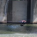 Andrew Adkison Photo 6