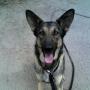 Shane Rhoades Photo 20