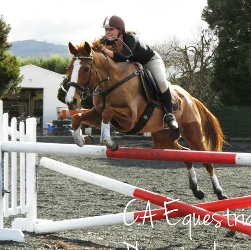 Hayley Moore Photo 12