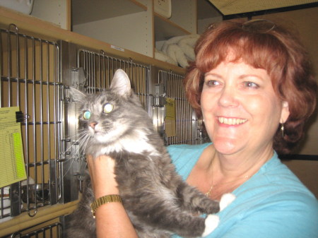 Cheryl Hopkins Photo 8