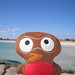 Robin Beach Photo 18
