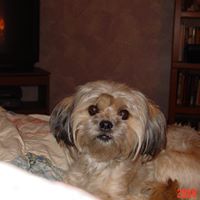 Ginger Mcdonald Photo 27