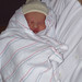 Nathaniel Rowe Photo 15