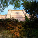 Gloria Cline Photo 14