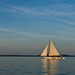 Martha Lewis Photo 14
