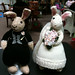 Diane Jennings Photo 35