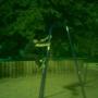 Kevin Saltzman Photo 8