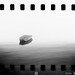 Stephen Schafer Photo 29