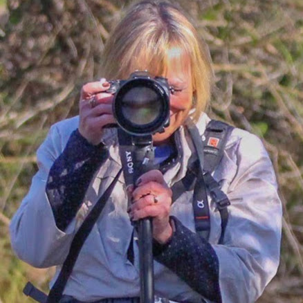 Darlene Lester Photo 26