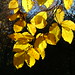 Stuart King Photo 47