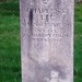C Lee Photo 39