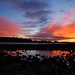 Dawn Phillips Photo 10