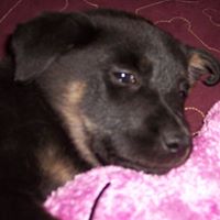 Lola Porter Photo 21