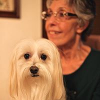 Carolyn Wood Photo 47