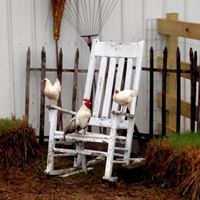 Vicki Ellis Photo 29