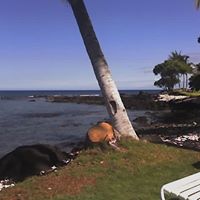 Carl Horton Photo 46