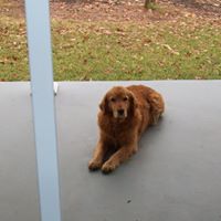 April Ferrell Photo 5
