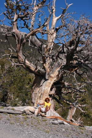 Denise Baugh Photo 2
