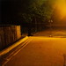 Dawn Talbot Photo 23