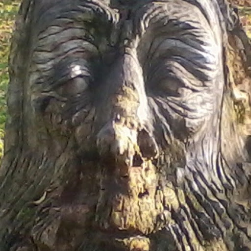 Keith Webster Photo 12