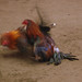 Kent Duren Photo 6