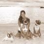 Darlene Peterson Photo 18