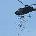 Mark Halvorsen Photo 24