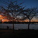 Karen Hudson Photo 38