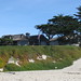 Jan Cannon Photo 4