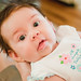 Elaine Ellis Photo 37