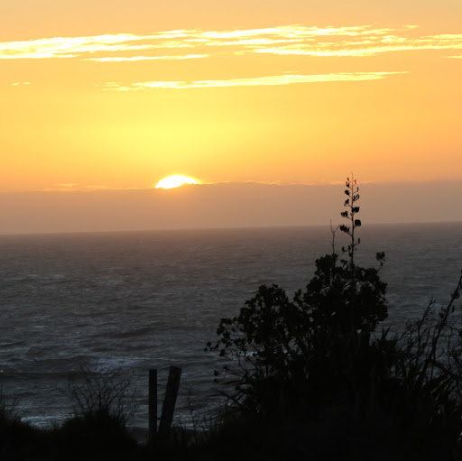 Debbie Stringer Photo 36