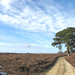 Sandy England Photo 26