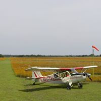 Steve Link Photo 38