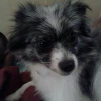 Brenda Harden Photo 19