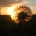 Micheal Rich Photo 18