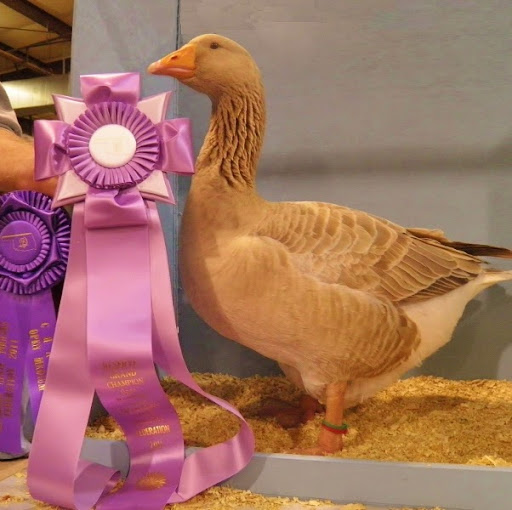 Kathy Hopkins Photo 30