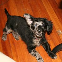 Sara Hendricks Photo 15