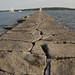 Edwin Stone Photo 29
