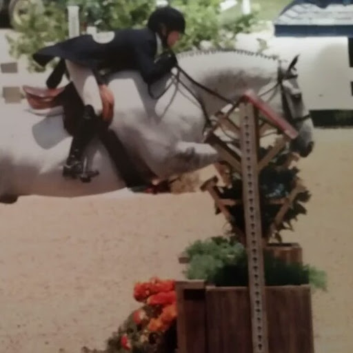 Cindi Robbins Photo 3