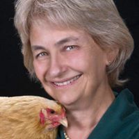 Patricia Foreman Photo 31