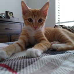 Leslie Hayden Photo 35