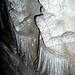 Thomas Beckwith Photo 13