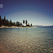 Stevie Meeks Photo 3