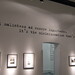 Robert Marchi Photo 15